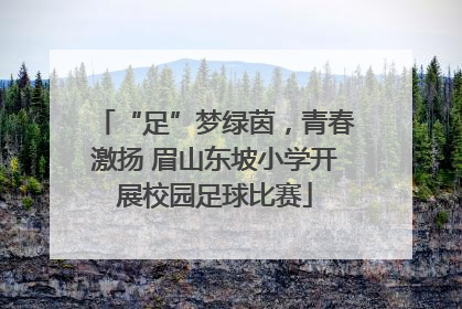 “足”梦绿茵，青春激扬 眉山东坡小学开展校园足球比赛