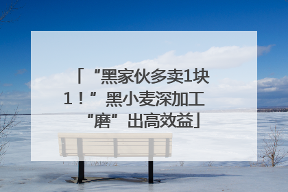 “黑家伙多卖1块1！”黑小麦深加工“磨”出高效益