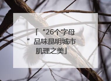 “26个字母”品味昆明城市肌理之美