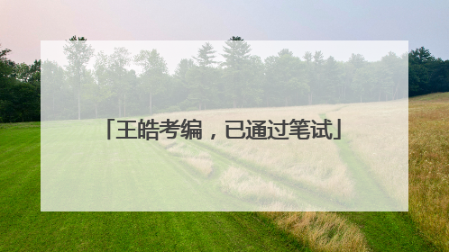 王皓考编，已通过笔试