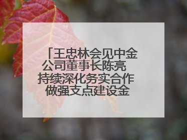 王忠林会见中金公司董事长陈亮 持续深化务实合作 做强支点建设金融支撑