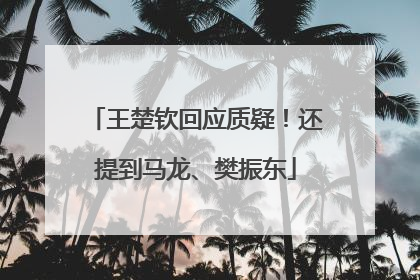 王楚钦回应质疑！还提到马龙、樊振东