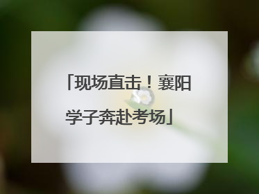 现场直击！襄阳学子奔赴考场