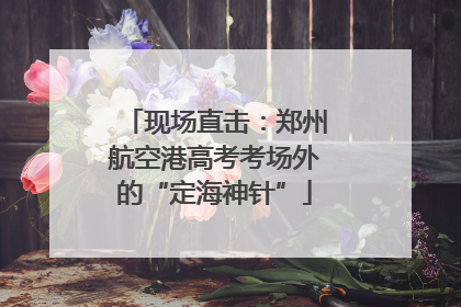现场直击：郑州航空港高考考场外的“定海神针”