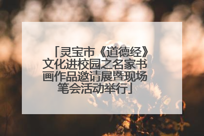 灵宝市《道德经》文化进校园之名家书画作品邀请展暨现场笔会活动举行