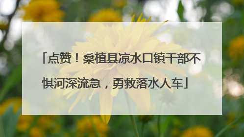 点赞！桑植县凉水口镇干部不惧河深流急，勇救落水人车