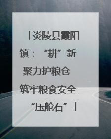 炎陵县霞阳镇：“耕”新聚力护粮仓 筑牢粮食安全“压舱石”