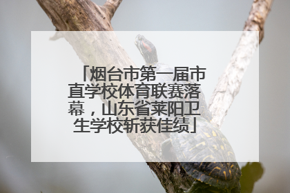 烟台市第一届市直学校体育联赛落幕，山东省莱阳卫生学校斩获佳绩