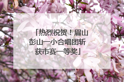 热烈祝贺！眉山彭山一小合唱团斩获市赛一等奖