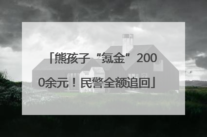 熊孩子“氪金”2000余元！民警全额追回