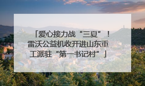爱心接力战“三夏”！雷沃公益机收开进山东重工派驻“第一书记村”