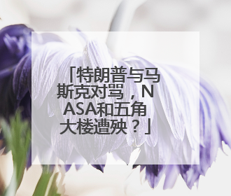 特朗普与马斯克对骂，NASA和五角大楼遭殃？