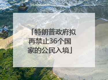 特朗普政府拟再禁止36个国家的公民入境