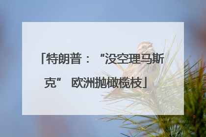 特朗普：“没空理马斯克” 欧洲抛橄榄枝