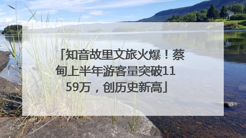 知音故里文旅火爆！蔡甸上半年游客量突破1159万，创历史新高