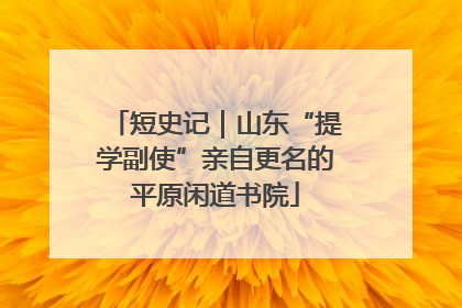 短史记｜山东“提学副使”亲自更名的平原闲道书院