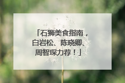 石狮美食指南，白岩松、陈晓卿、周智琛力荐！