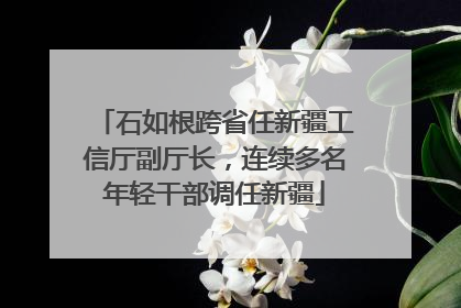 石如根跨省任新疆工信厅副厅长，连续多名年轻干部调任新疆
