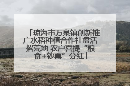 琼海市万泉镇创新推广水稻种植合作社盘活撂荒地 农户喜提“粮食+钞票”分红