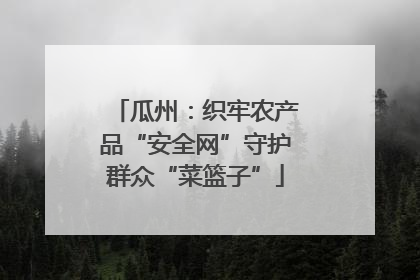 瓜州：织牢农产品“安全网”守护群众“菜篮子”
