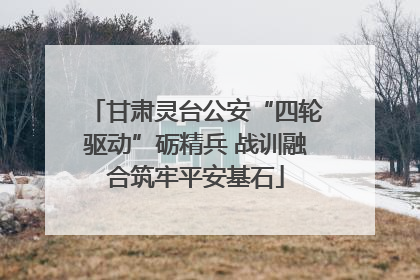 甘肃灵台公安“四轮驱动”砺精兵 战训融合筑牢平安基石