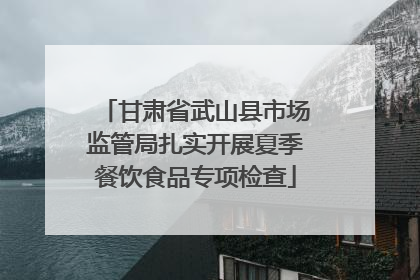 甘肃省武山县市场监管局扎实开展夏季餐饮食品专项检查