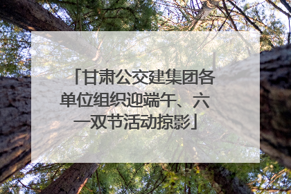 甘肃公交建集团各单位组织迎端午、六一双节活动掠影