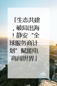 生态共建，破局出海！静安“全球服务商计划”赋能电商闯世界