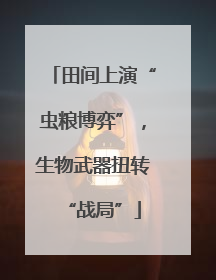 田间上演“虫粮博弈”，生物武器扭转“战局”