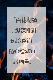 百花湖镇：纵深推进环境整治 精心绘就宜居画卷