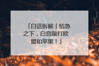 白话拆解丨情急之下，白宫敲打欧盟和苹果！
