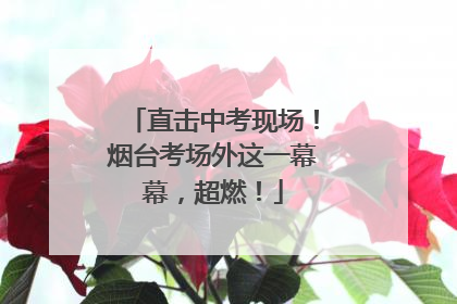 直击中考现场！烟台考场外这一幕幕，超燃！