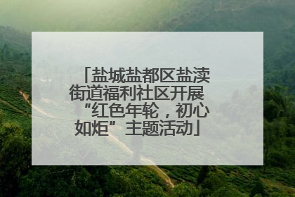 盐城盐都区盐渎街道福利社区开展“红色年轮，初心如炬”主题活动