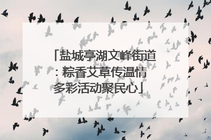 盐城亭湖文峰街道：粽香艾草传温情 多彩活动聚民心