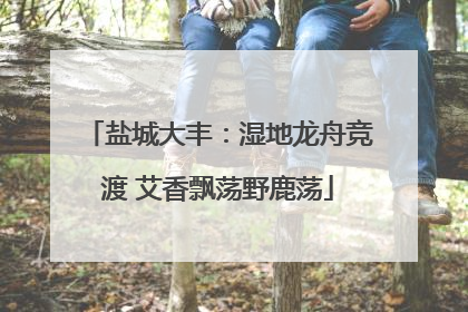 盐城大丰：湿地龙舟竞渡 艾香飘荡野鹿荡