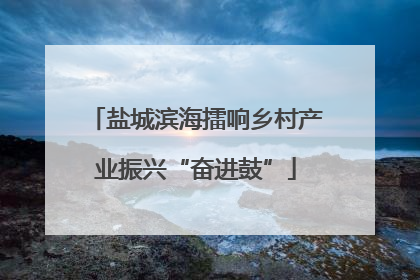 盐城滨海擂响乡村产业振兴“奋进鼓”