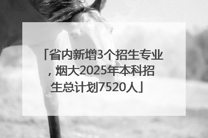 省内新增3个招生专业，烟大2025年本科招生总计划7520人