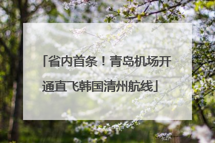 省内首条！青岛机场开通直飞韩国清州航线
