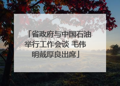 省政府与中国石油举行工作会谈 毛伟明戴厚良出席