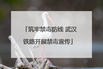 筑牢禁毒防线 武汉铁路开展禁毒宣传