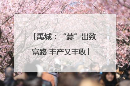 禹城：“蒜”出致富路 丰产又丰收