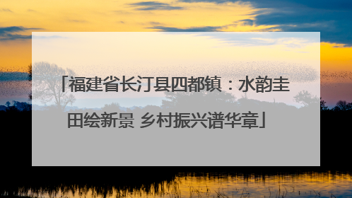 福建省长汀县四都镇：水韵圭田绘新景 乡村振兴谱华章
