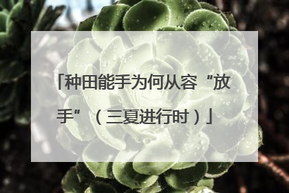 种田能手为何从容“放手”（三夏进行时）