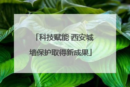 科技赋能 西安城墙保护取得新成果
