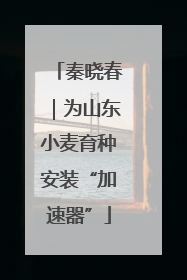 秦晓春｜为山东小麦育种安装“加速器”