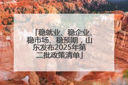 稳就业、稳企业、稳市场、稳预期，山东发布2025年第二批政策清单