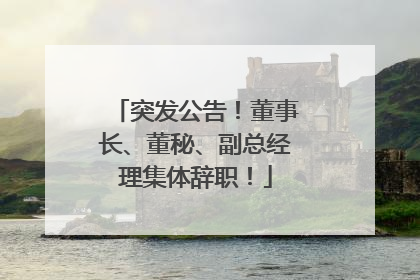 突发公告！董事长、董秘、副总经理集体辞职！