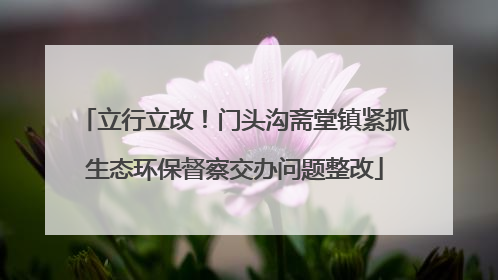 立行立改！门头沟斋堂镇紧抓生态环保督察交办问题整改