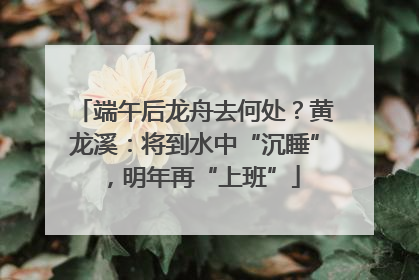 端午后龙舟去何处？黄龙溪：将到水中“沉睡”，明年再“上班”