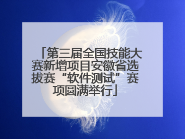 第三届全国技能大赛新增项目安徽省选拔赛“软件测试”赛项圆满举行